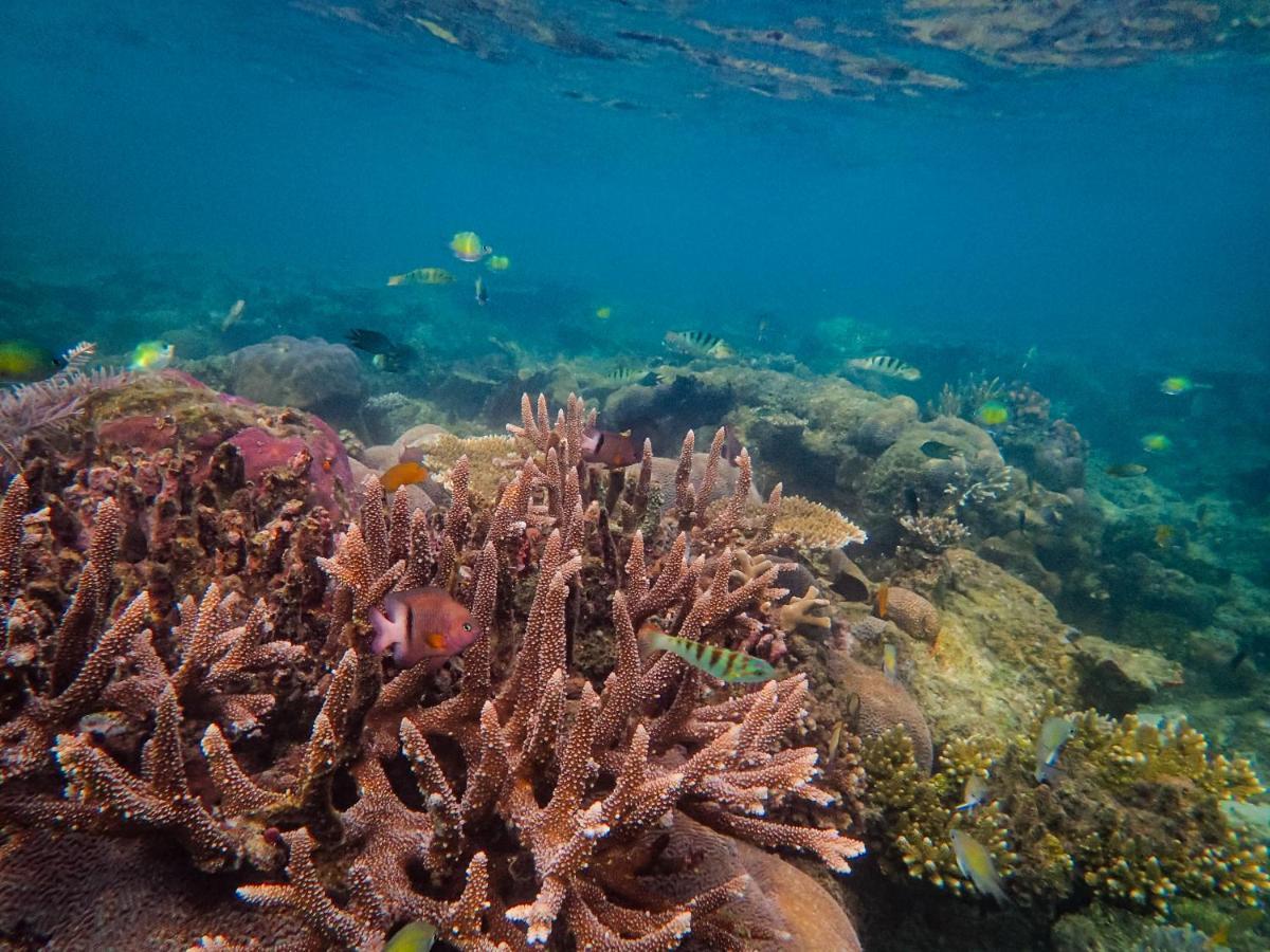 Raja Ampat Eco Lodge Tapokreng Bagian luar foto