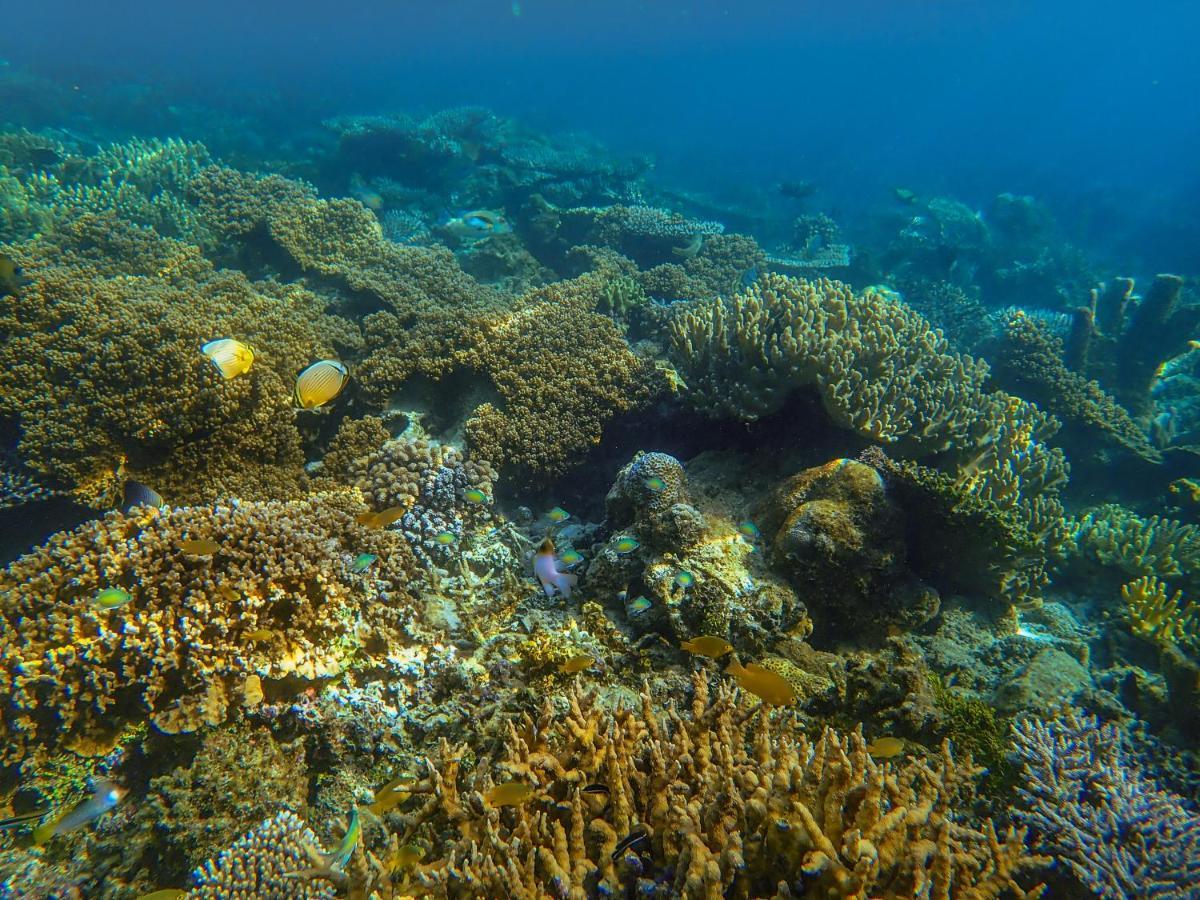 Raja Ampat Eco Lodge Tapokreng Bagian luar foto